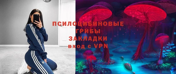гидра Нязепетровск