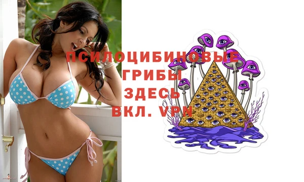 гидра Нязепетровск