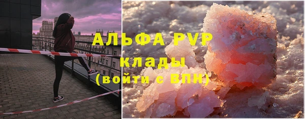 крисы Новокубанск